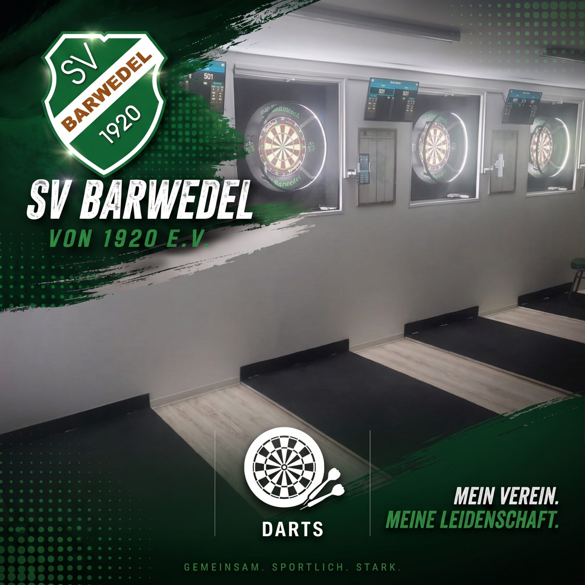 SV-Barwedel-Sparte-Darts Darts