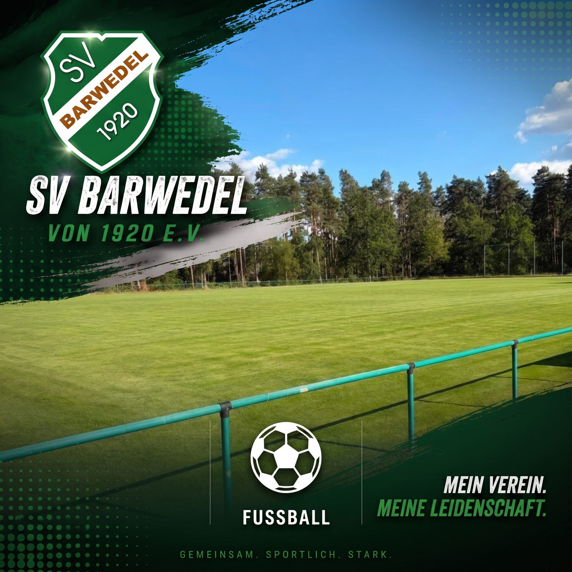 SV-Barwedel-Sparte-Fussball Fußball