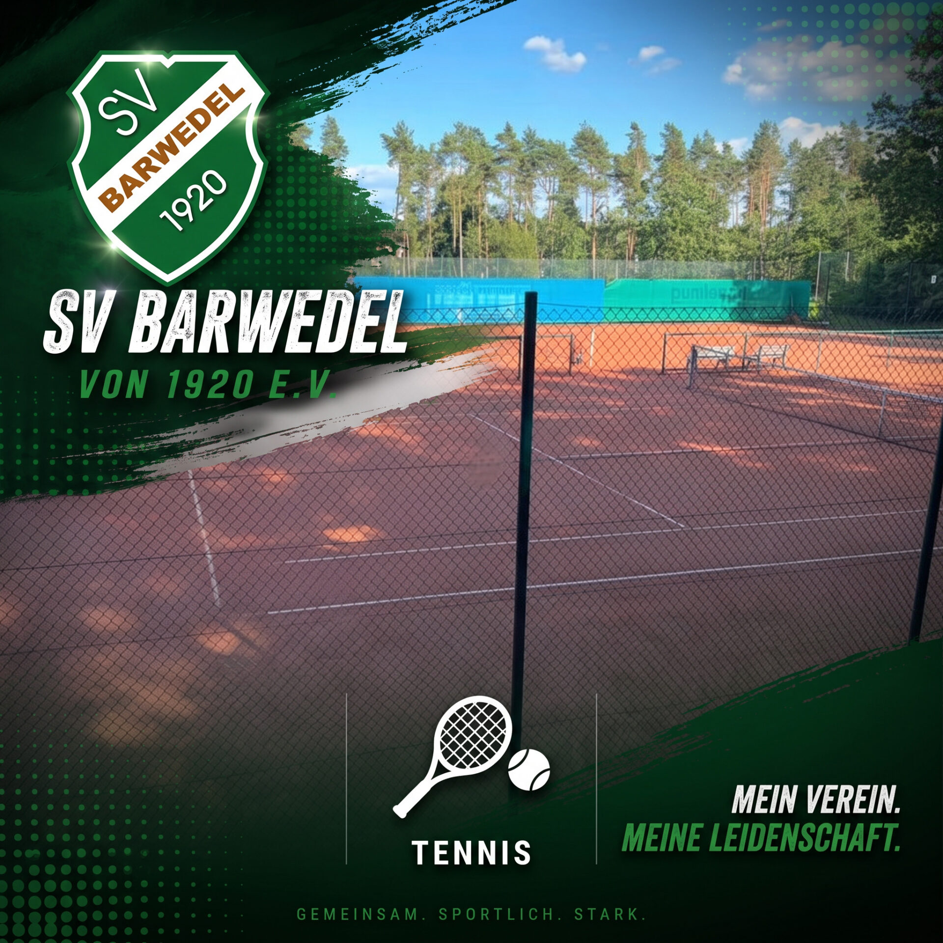 SV-Barwedel-Sparte-Tennis Tennis